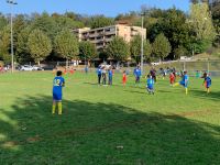 Tournoi Animation juniors F